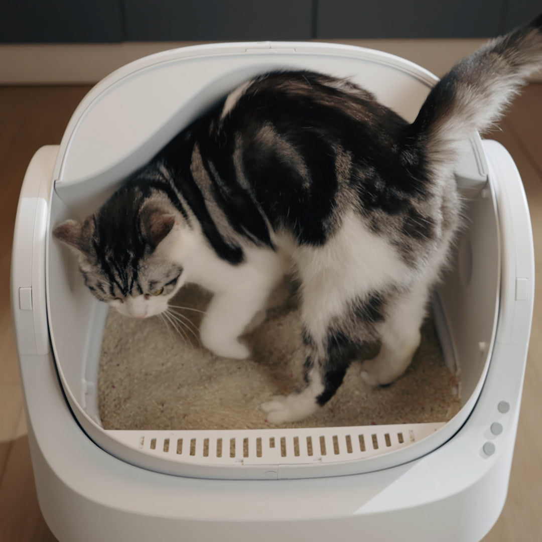Snoetzo CleanNest – De Zelfreinigende Kattenbak die Jouw Huis Fris Houdt