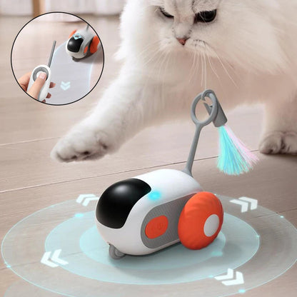 Interactief kattenspeelgoed met afstandsbediening