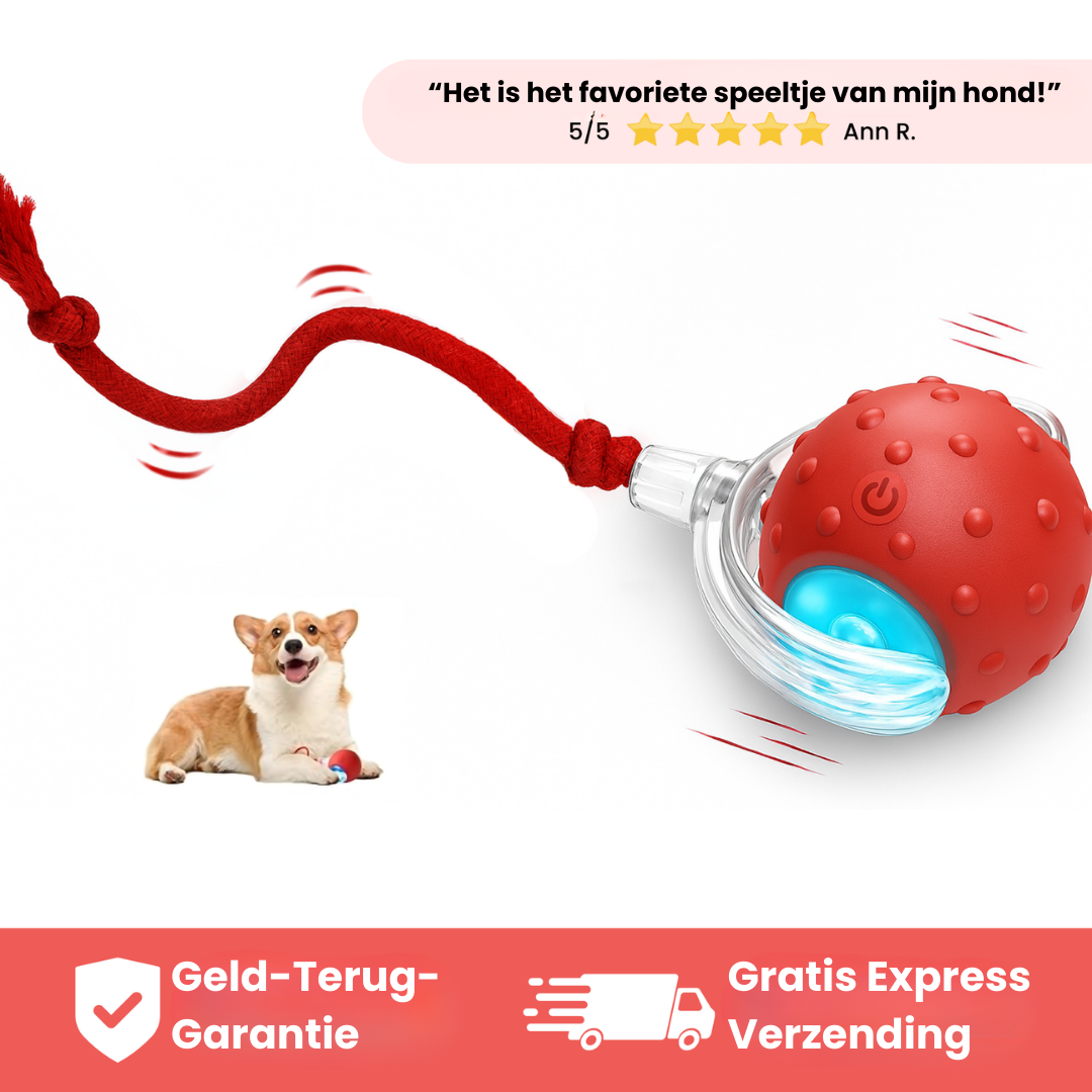 Huisdier & Co™ - Speedy Tail 2.0