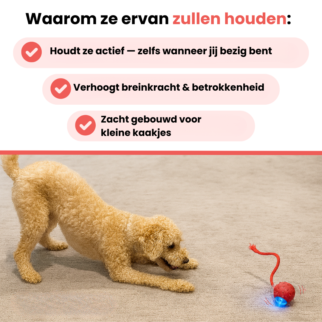 Huisdier & Co™ - Speedy Tail 2.0