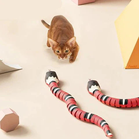 Slimme sensorische slangenkattenspeeltje