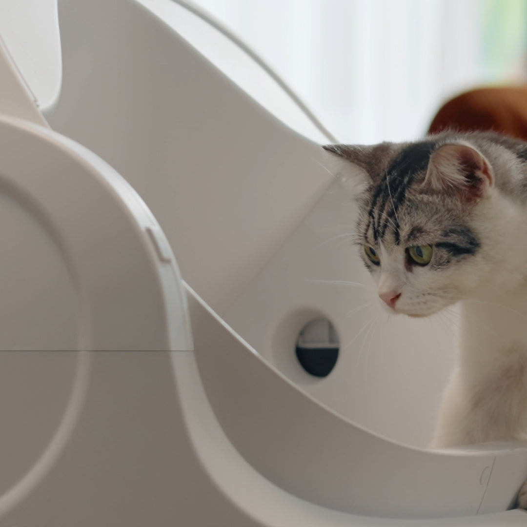 Snoetzo CleanNest – De Zelfreinigende Kattenbak die Jouw Huis Fris Houdt