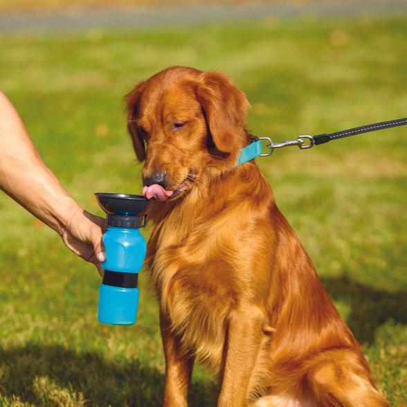 Drinkwaterfles voor huisdieren